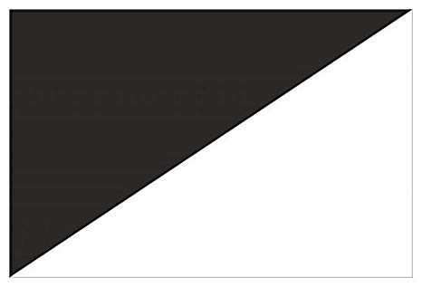 formula 1 significato bandiera bianco nera