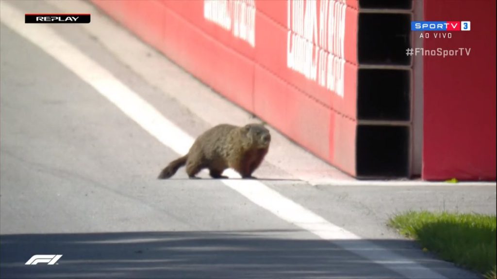 LIVE F1 – Diretta Prove Libere 1 FP1 – GP Canada Montreal 11 f1 canada marmotta in pista