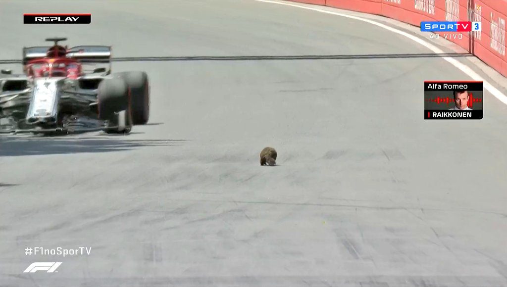 LIVE F1 – Diretta Prove Libere 3 FP3 – GP Canada Montreal 3 LIVE F1 – Diretta Prove Libere 3 FP3 – GP Canada Montreal