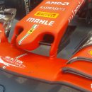 f1 mantello ferrari sf1000